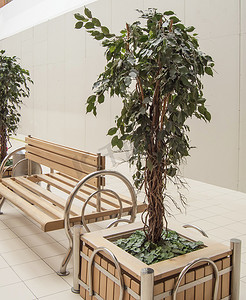 用于家居装饰和办公室的大型木花盆中的人造绿植物，未经处理，购物中心休息区的内部