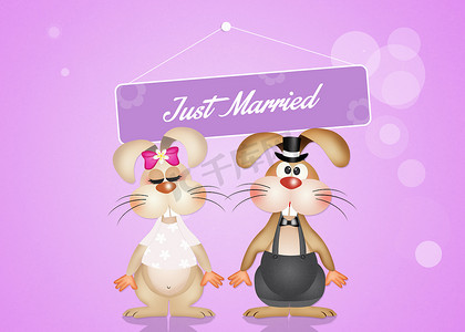 可爱兔子耳朵摄影照片_兔子的婚姻