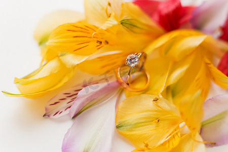 一对结婚戒指和订婚戒指，五颜六色的六出花。