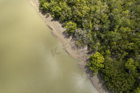 丛林中的无人机空中泥泞的沿海小溪