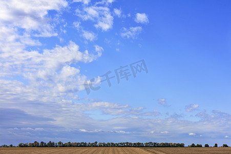 白色白云摄影照片_大片的白云漂浮在田野和林带地平线上方的蓝天上。