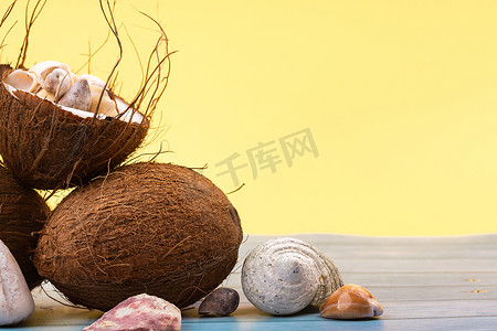 黄色和蓝色木质背景上的椰子和贝壳。海洋主题