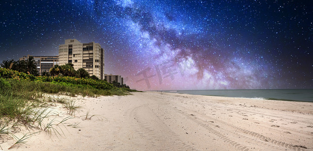 公园海岸海滩夜空中的银河
