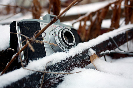 冬天，柯达小马胶片相机坐在棕色和雪白的树枝上