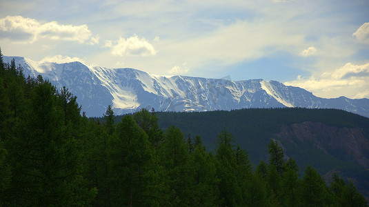 风景如画的山脉覆盖着白雪和林间空地，前景是松树。
