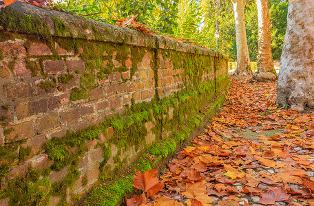 景观大道摄影照片_秋天的大道被一堵矮墙和树木所包围