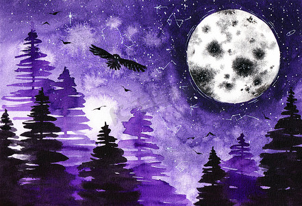 原创月亮猫头鹰森林水彩画在纸上。