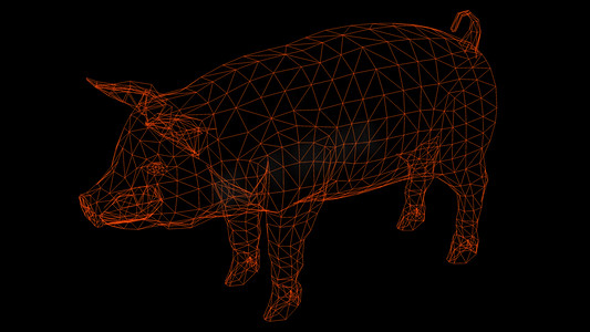 猪的孤立低聚图形设计