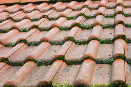 哀叹摄影照片_用红瓦盖的瓦屋顶，长满与青苔
