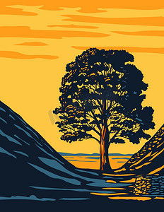 英格兰东北部诺森伯兰郡国家公园内哈德良长城乡村的梧桐树间隙树英国装饰艺术 WPA 海报艺术