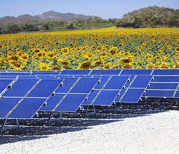 solar摄影照片_太阳太阳能电池板和向日葵田用作天然电力