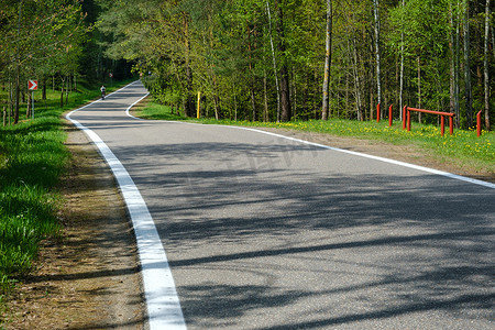 阳光明媚的日子里，森林公路是森林中一条良好的铺砌道路