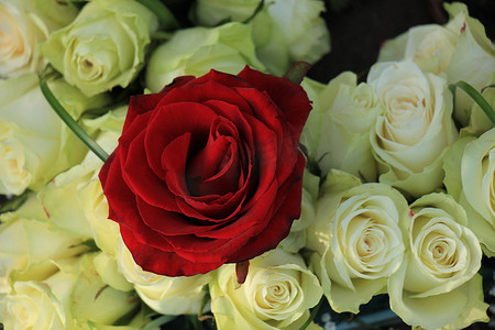白色婚礼花束中的红玫瑰