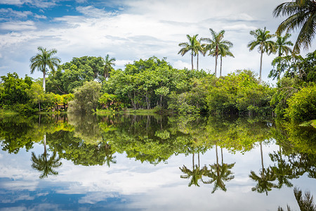 仙童热带植物园，迈阿密，佛罗里达州，美国