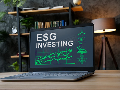 笔记本电脑屏幕上显示 ESG 投资结果。