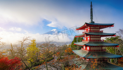 美丽的富士山风景与周围的 chureito 宝塔