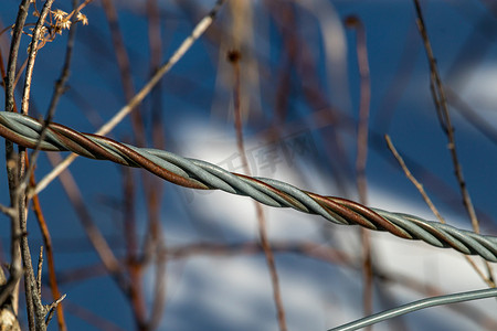 扭曲的生锈钢丝在树枝之间对角线