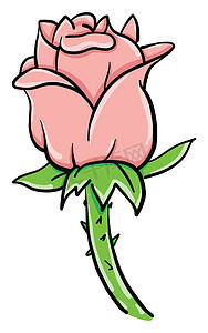 粉红玫瑰，插图，白色背景上的矢量
