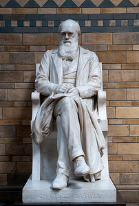 查尔斯·达尔文雕像