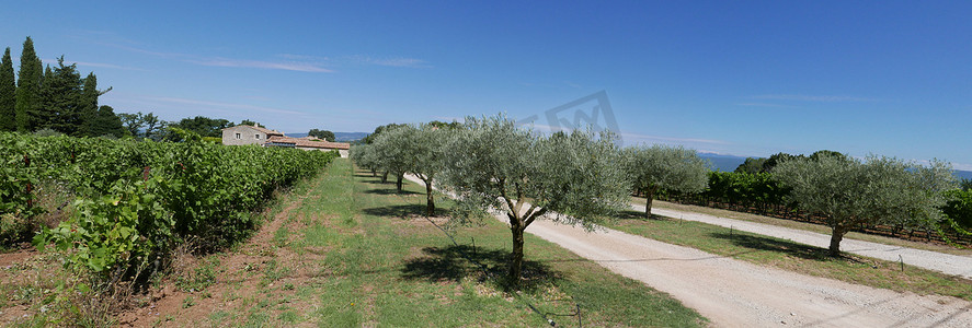 vaucluse、roussillon 和 bonnieux 村位于葡萄园之间