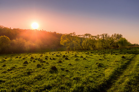 春天田野阳光摄影照片_绿草如茵的春天田野中的日落或黎明。