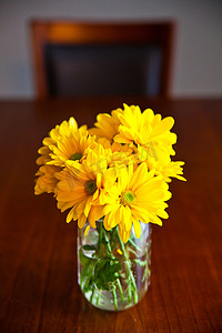 特写黄色雏菊花的静物画，放在木桌上的梅森罐子里，背景是椅子