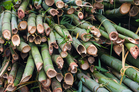 圆传统纹理摄影照片_一堆砍下来的竹子