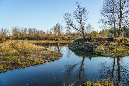 阳光小溪摄影照片_春天的小溪，岸边没有叶子的树