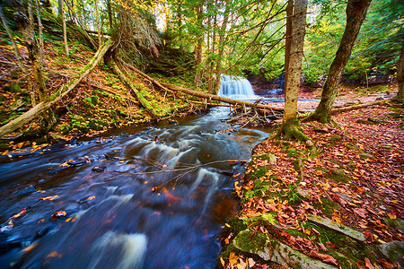 河源处的瀑布，水流平缓，树叶遍布地面