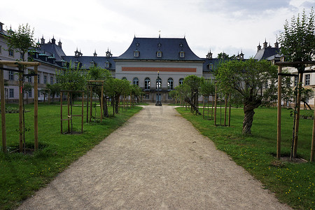 德累斯顿皮尔尼茨城堡新宫周围的花园