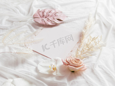 潘帕斯草摄影照片_白色织物上的蝴蝶兰、蒲苇（潘帕斯草）和粉红色龟背竹叶。