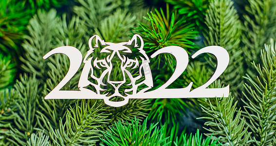 虎年语摄影照片_2022 年虎年新年，圣诞快乐，新年快乐。