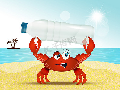 海滩上带着塑料瓶的螃蟹