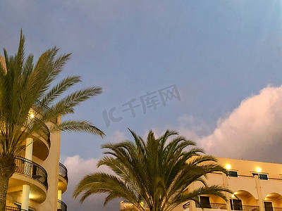 海边酒店摄影照片_酒店顶部和棕榈树背对着美丽的天空