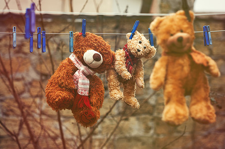 挂在晾衣绳上的三只可爱的棕色湿泰迪熊和博士