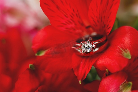 一对红色六出花结婚戒指和订婚戒指。