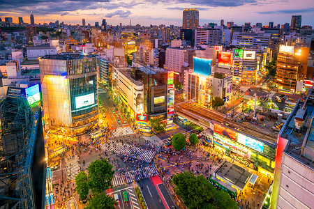从东京的顶视图涩谷十字路口
