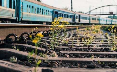 花线烫金摄影照片_有老火车和黄色花的铁路
