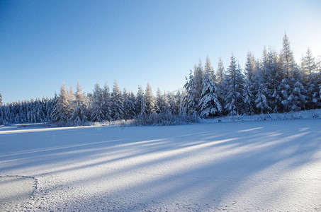 白色的冬天，冰湖上的白雪皑皑的森林。
