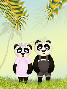 丛林中有趣的熊猫