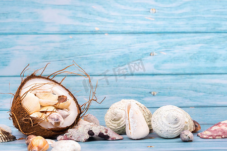 海洋主题摄影照片_蓝色木质背景上的椰子和贝壳。海洋主题