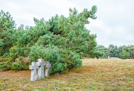 旧墓地中的三个石十字架