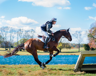 马术比赛照片，包括猎人跳马和越野马骑手