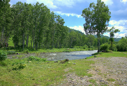 山区河流两岸的一片小草地，周围环绕着高大的树木。