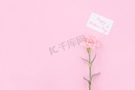 美丽、清新优雅的康乃馨花束，配有白色问候感谢礼品卡，隔离在亮粉色背景、顶视图、平躺概念上。