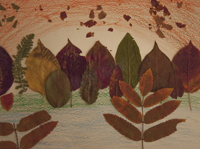 色彩缤纷的秋叶贴在纸上。