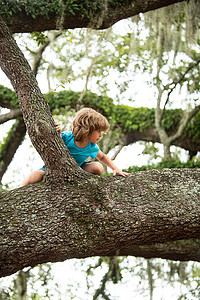 小可爱的男孩孩子爬在树高的户外生活方式的概念。