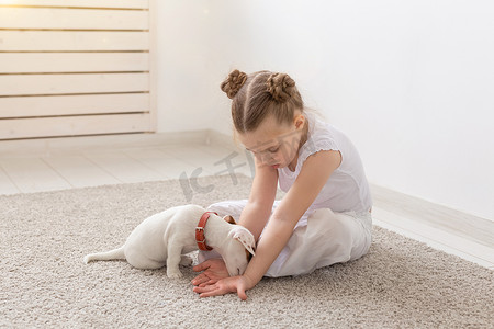 和动物玩耍摄影照片_人、宠物和动物概念 — 小女孩坐在白色背景的地板上，抱着小狗杰克罗素梗犬