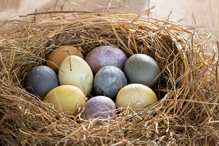复活节组合物 — 在干草巢中涂上天然染料的彩色复活节彩蛋