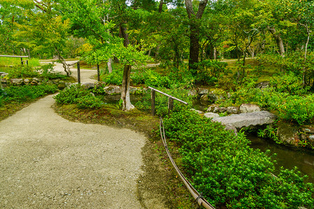 奈良公园的风景